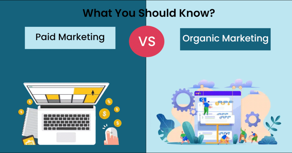 Organic Marketing vs Paid Marketing: Which is Best for Your Business in 2025?